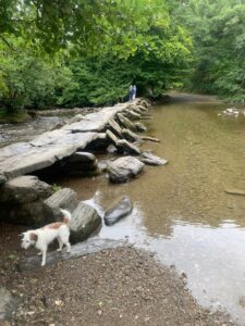 Clapper Bridge at Tarr Steps JS