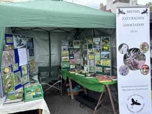BNA Stand at The Water Festival